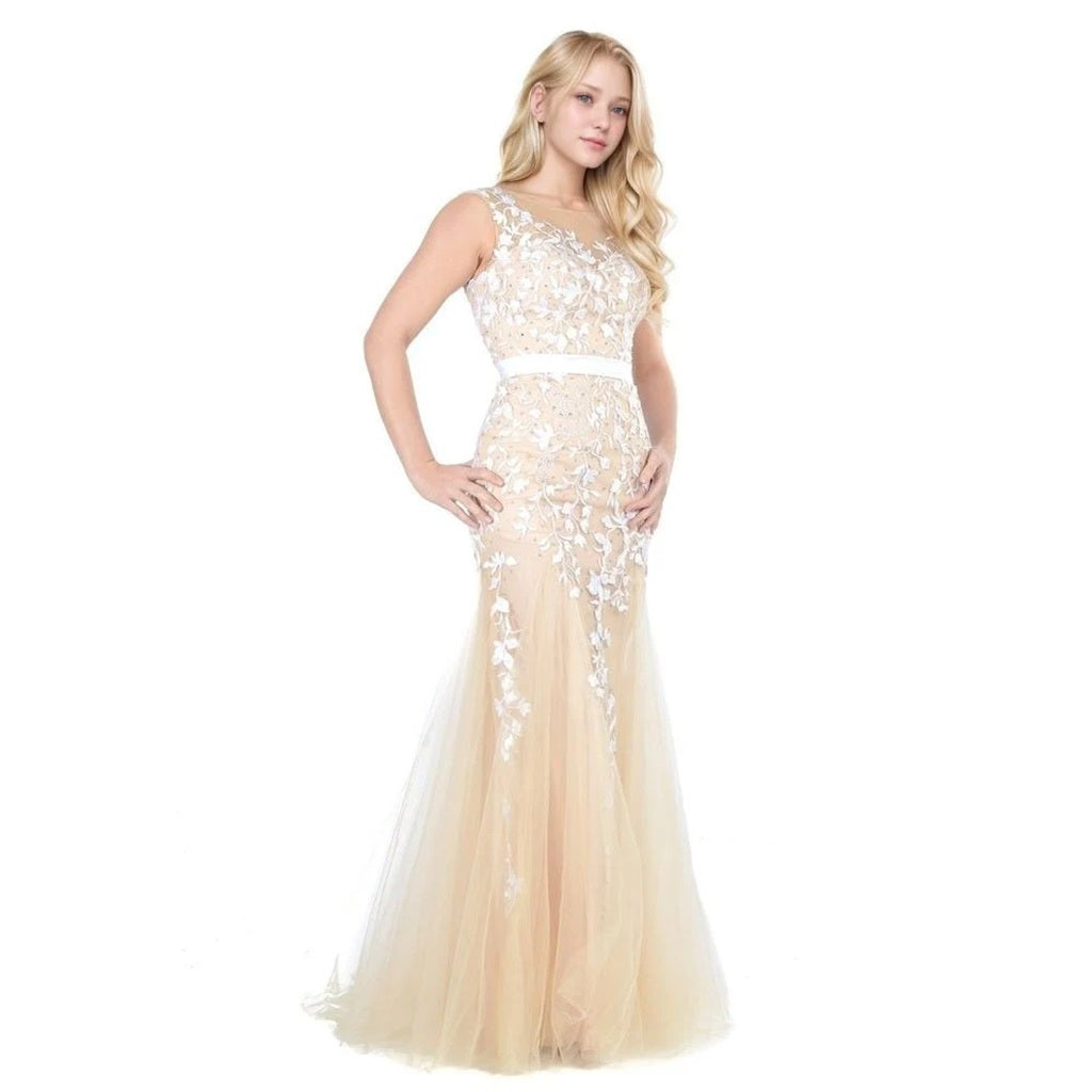 Applique Lace-Embellished A-Line Long Prom Dress with Train